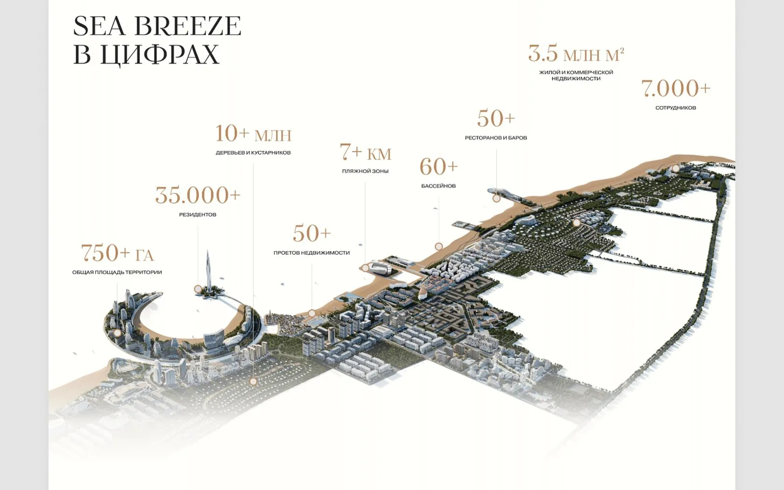 Website for Sea Breeze — 3