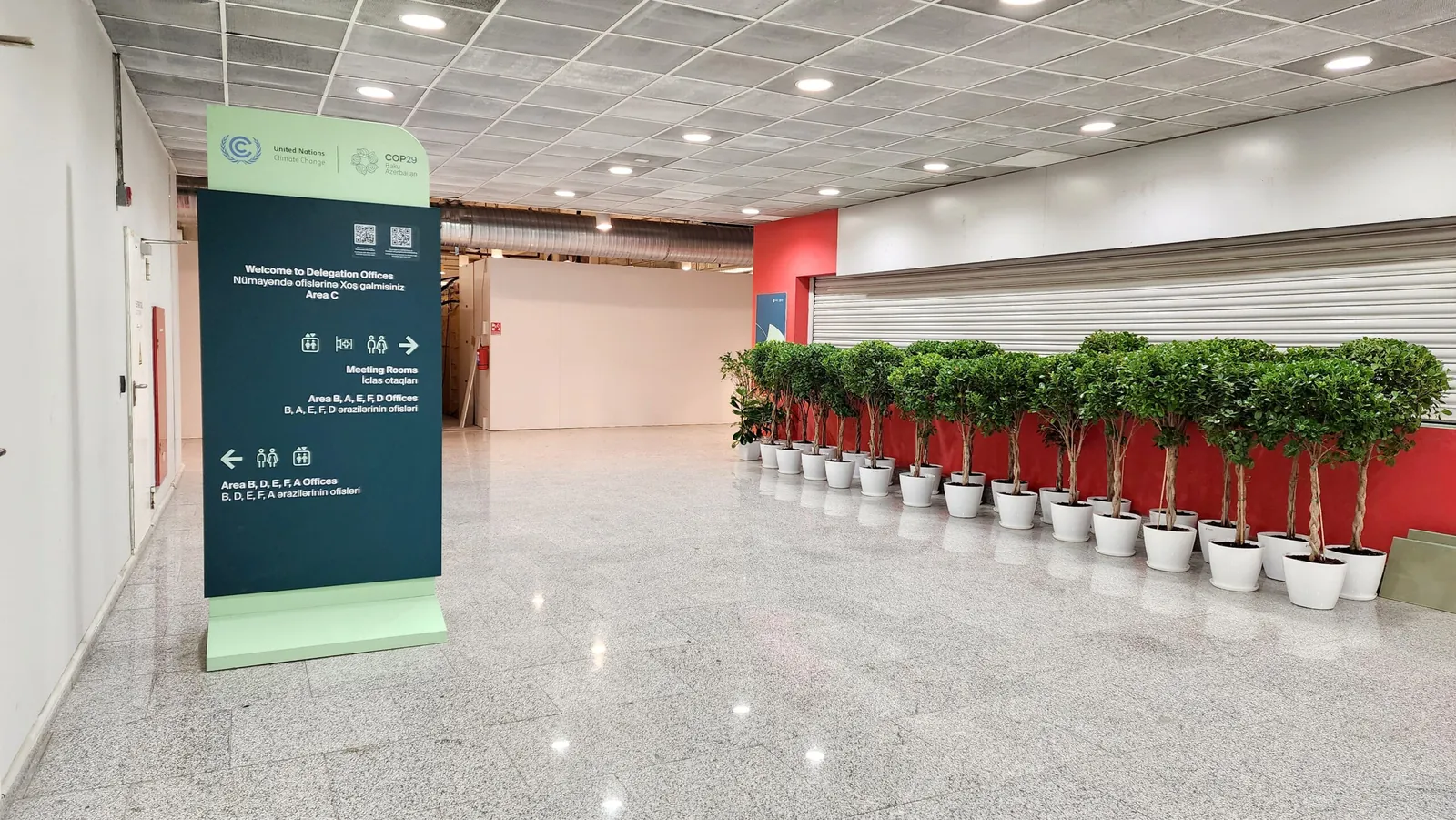 COP29