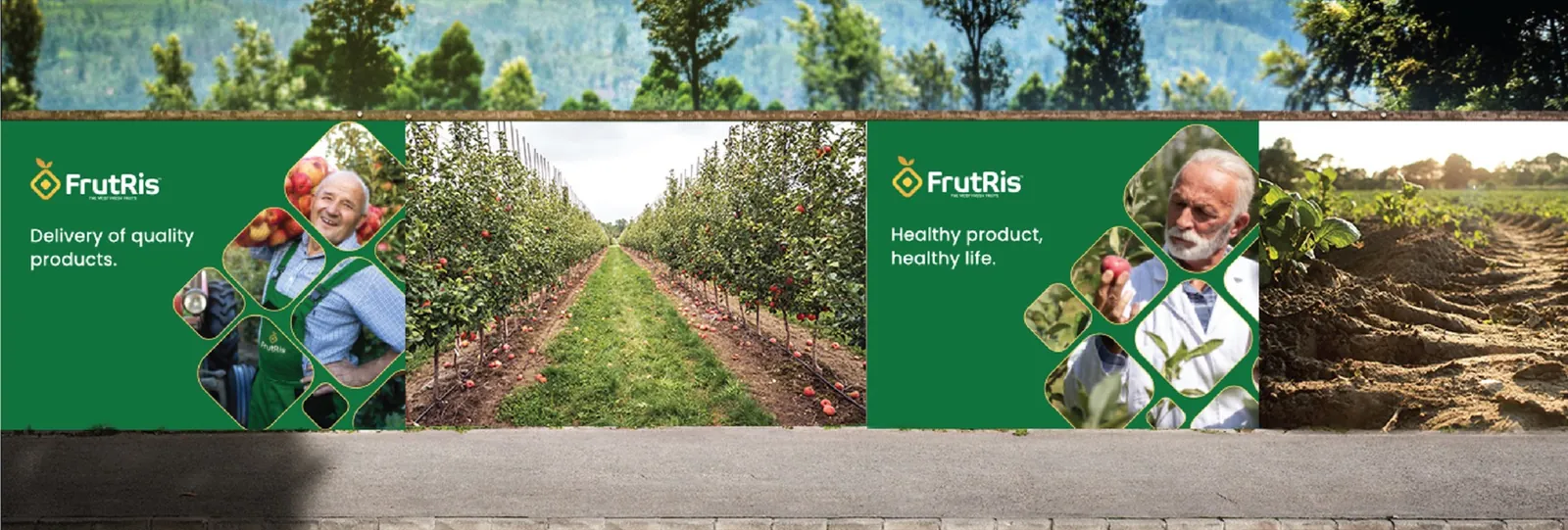 FrutRis - Branding